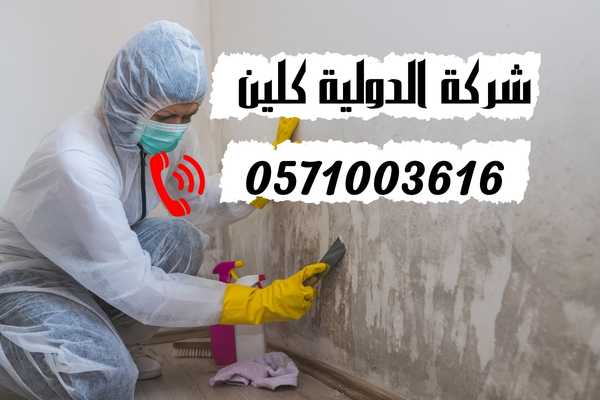 تنظيف الجدران