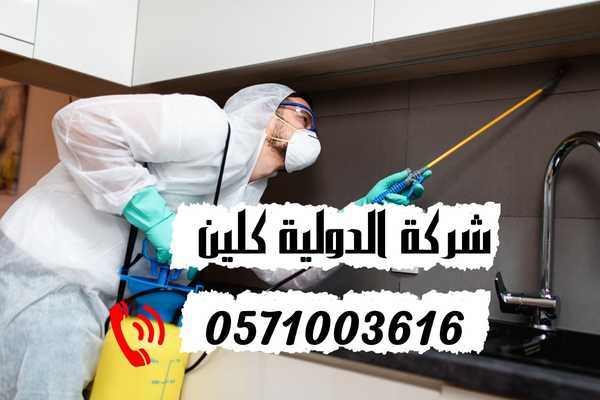 افضل شركة مكافحة حشرات بالدمام