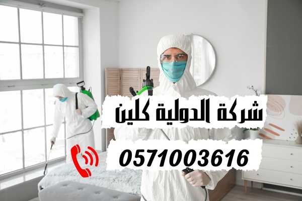 شركات مكافحة الحشرات بالدمام