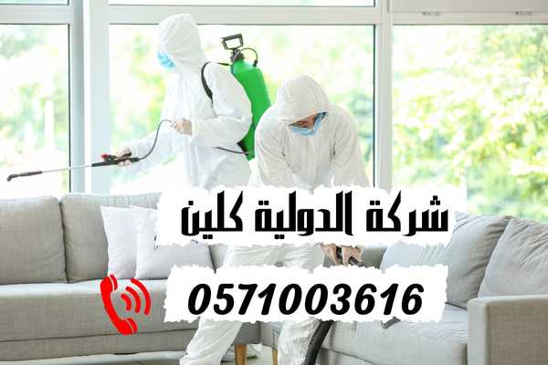 شركة مكافحة حشرات بالخبر