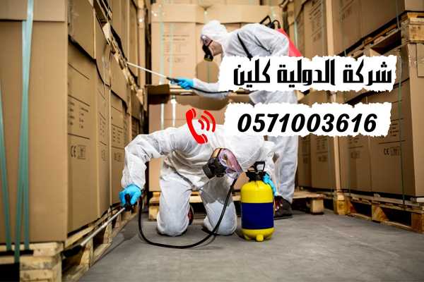 شركة مكافحة حشرات بالدمام