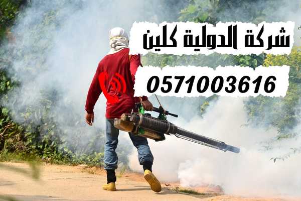 شركة مكافحة حشرات بالظهران