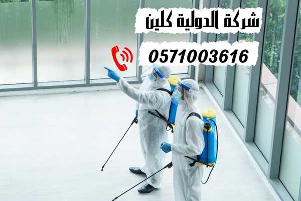 شركة مكافحة حشرات بالقطيف